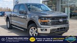 New 2025 Ford F150 XLT image 2