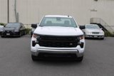 Used 2024 Chevrolet Silverado 1500 W/T w/ WT Fleet Convenience Package image 3