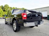 Used 2019 Ford F150 XLT w/ Equipment Group 302A Luxury image 4
