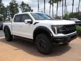 New 2025 Ford F150 Raptor image 6