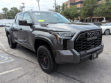 Used 2023 Toyota Tundra TRD Pro image 5