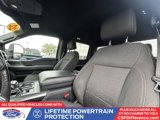 Certified 2022 Ford F150 XLT w/ Equipment Group 302A High image 3