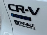 New 2026 Honda CR-V EX image 5