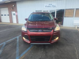 Used 2014 Ford Escape Titanium image 2