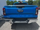 New 2024 Ford Ranger XLT w/ Equipment Group 301A High image 6