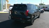 New 2025 Hyundai Palisade Calligraphy image 4