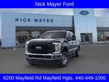 New 2025 Ford F250 XL w/ XL Chrome Package image 2