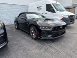 Used 2024 Ford Mustang GT Premium image 4