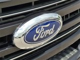 New 2025 Ford F250 Platinum image 4