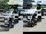 View Video
