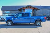 New 2025 Ford F150 XLT w/ Equipment Group 302A MID image 3
