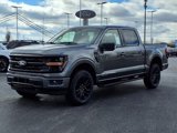 New 2025 Ford F150 XLT w/ Equipment Group 302A MID image 3