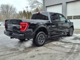 Used 2023 Ford F150 XLT w/ Equipment Group 302A High image 5