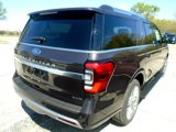New 2024 Ford Expedition Max Platinum image 4