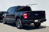 Certified 2023 Ford F150 XL w/ STX Appearance Package image 5