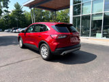 Used 2022 Ford Escape SE w/ Convenience Package image 3