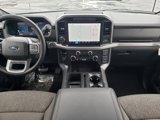 New 2025 Ford F150 XLT w/ Equipment Group 302A MID image 2