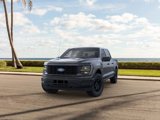 New 2025 Ford F150 STX image 2