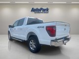 New 2025 Ford F150 XLT w/ Equipment Group 302A MID image 4