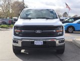New 2025 Ford F150 XLT w/ Equipment Group 303A High image 2