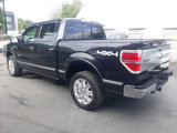 Used 2013 Ford F150 Platinum image 4