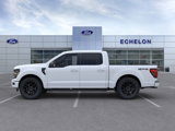 New 2025 Ford F150 XLT w/ Equipment Group 302A MID image 3