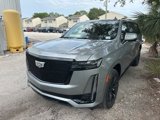 Certified 2024 Cadillac Escalade ESV Sport w/ LPO, ONYX Package image 2
