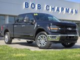 New 2025 Ford F150 XLT image 2