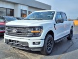 New 2025 Ford F150 XLT w/ Equipment Group 302A MID image 3