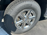 New 2025 Ford F150 XLT w/ Equipment Group 302A MID image 4