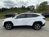 New 2024 Hyundai Tucson Limited image 3
