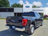 Certified 2021 Ford F150 XLT w/ Equipment Group 301A Mid image 4