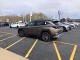 New 2025 Hyundai Tucson Limited image 3