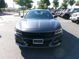 New 2023 Dodge Charger SXT w/ Blacktop Special Edition image 3