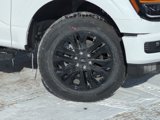 New 2025 Ford F150 XLT w/ Equipment Group 302A MID image 2