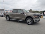 New 2025 Ford F150 XLT w/ Equipment Group 302A MID image 2