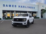 New 2025 Ford F150 XLT w/ Equipment Group 303A High image 2
