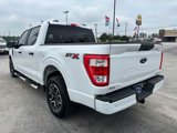 Certified 2023 Ford F150 XL w/ STX Appearance Package image 5
