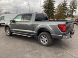 New 2025 Ford F150 XLT w/ Equipment Group 302A MID image 5