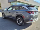 Used 2025 Hyundai Tucson SEL image 4