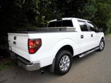 Used 2014 Ford F150 XLT w/ Equipment Group 302A Luxury image 6