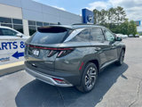 New 2025 Hyundai Tucson Limited image 3