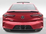 Used 2023 Acura TLX w/ A-SPEC Pkg image 6
