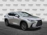Certified 2025 Lexus NX 250 FWD image 2