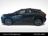 New 2025 Lexus RX 450h AWD w/ Luxury Package image 2
