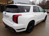 New 2025 Hyundai Palisade Calligraphy image 2