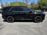 New 2025 Hyundai Palisade Calligraphy image 5