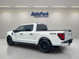 New 2025 Ford F150 STX w/ STX Black Appearance Package image 5