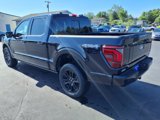 New 2025 Ford F150 Platinum image 3