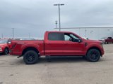 New 2025 Ford F150 XLT w/ Equipment Group 302A MID image 4